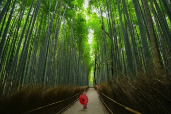 “Midori no hi”: Ngày Xanh và ý thức về thiên nhiên của người Nhật