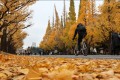 Một vài địa điểm ngắm mùa thu đẹp nhất Nhật Bản