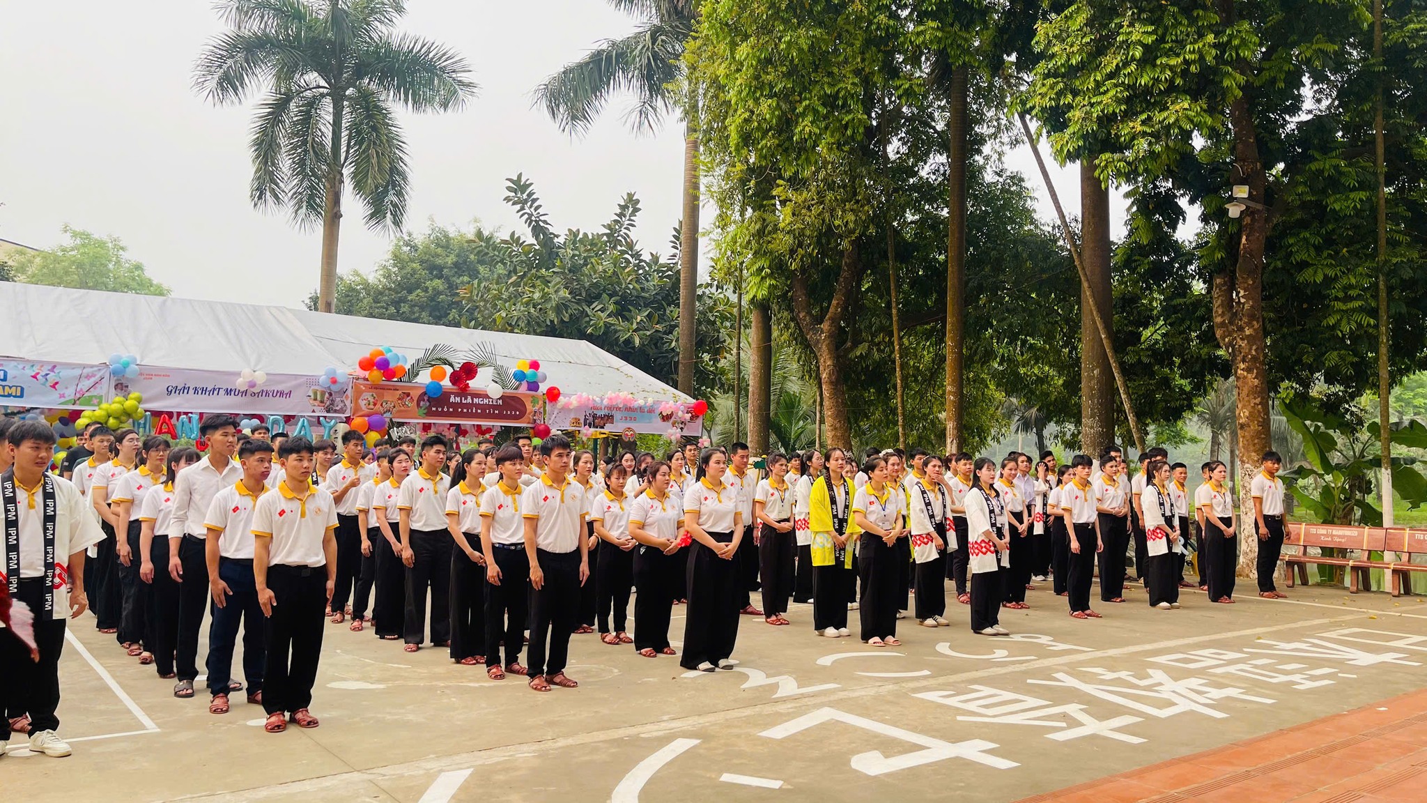 LỄ HỘI HOA ANH ĐÀO IPM 2026 – RỰC RỠ SẮC HỒNG KHẮP 3 MIỀN